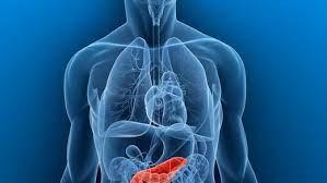 69e1c50b-faa2-44b0-8c8f-8b16ca49d690