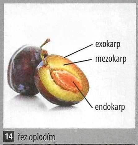 2022-10-31 092698 3 (1)