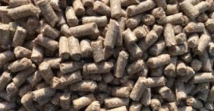 690a818c-2768-40c9-9af1-c82a32e417a6