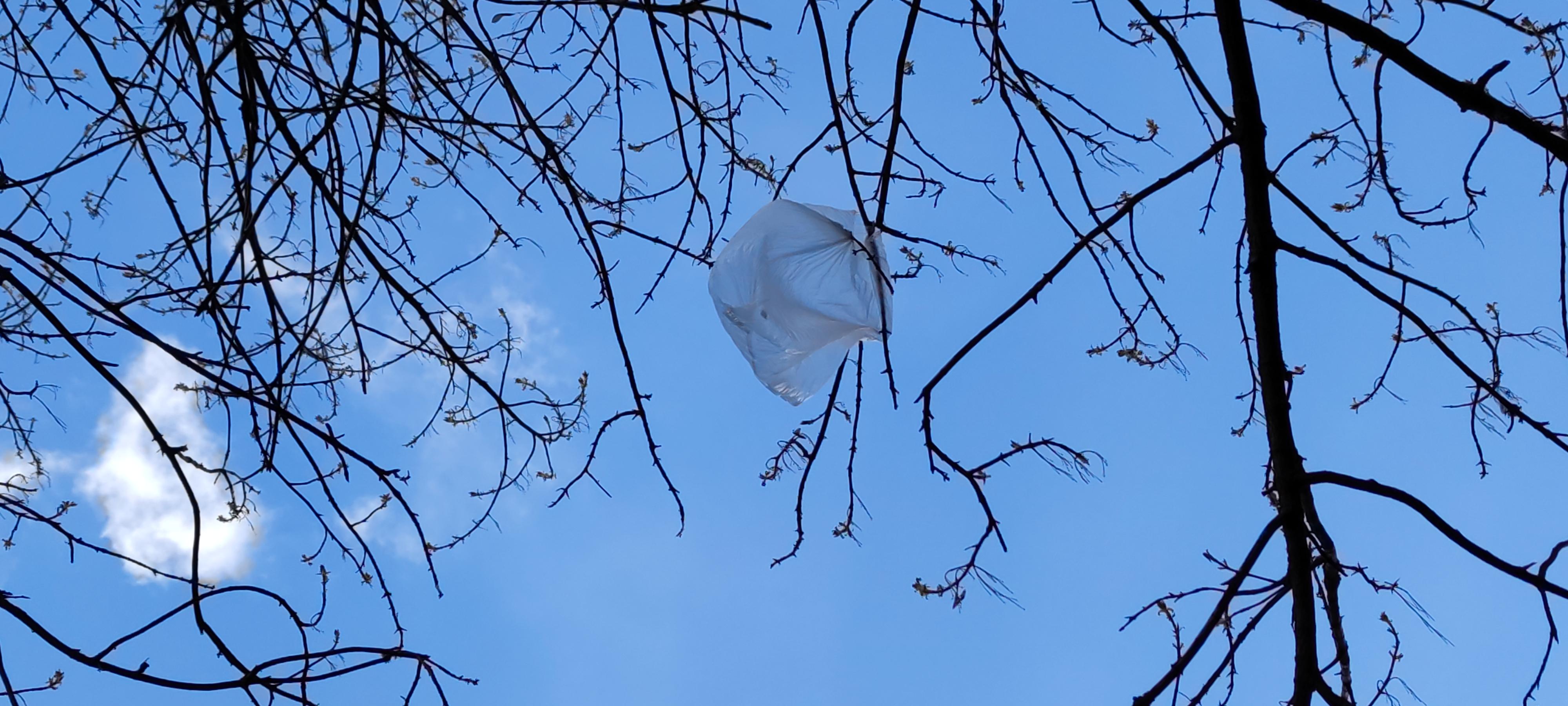 16178096921178282360540135708806