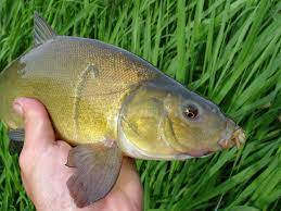 69b8af31-8a50-4264-9e6f-d0a37c8d0476