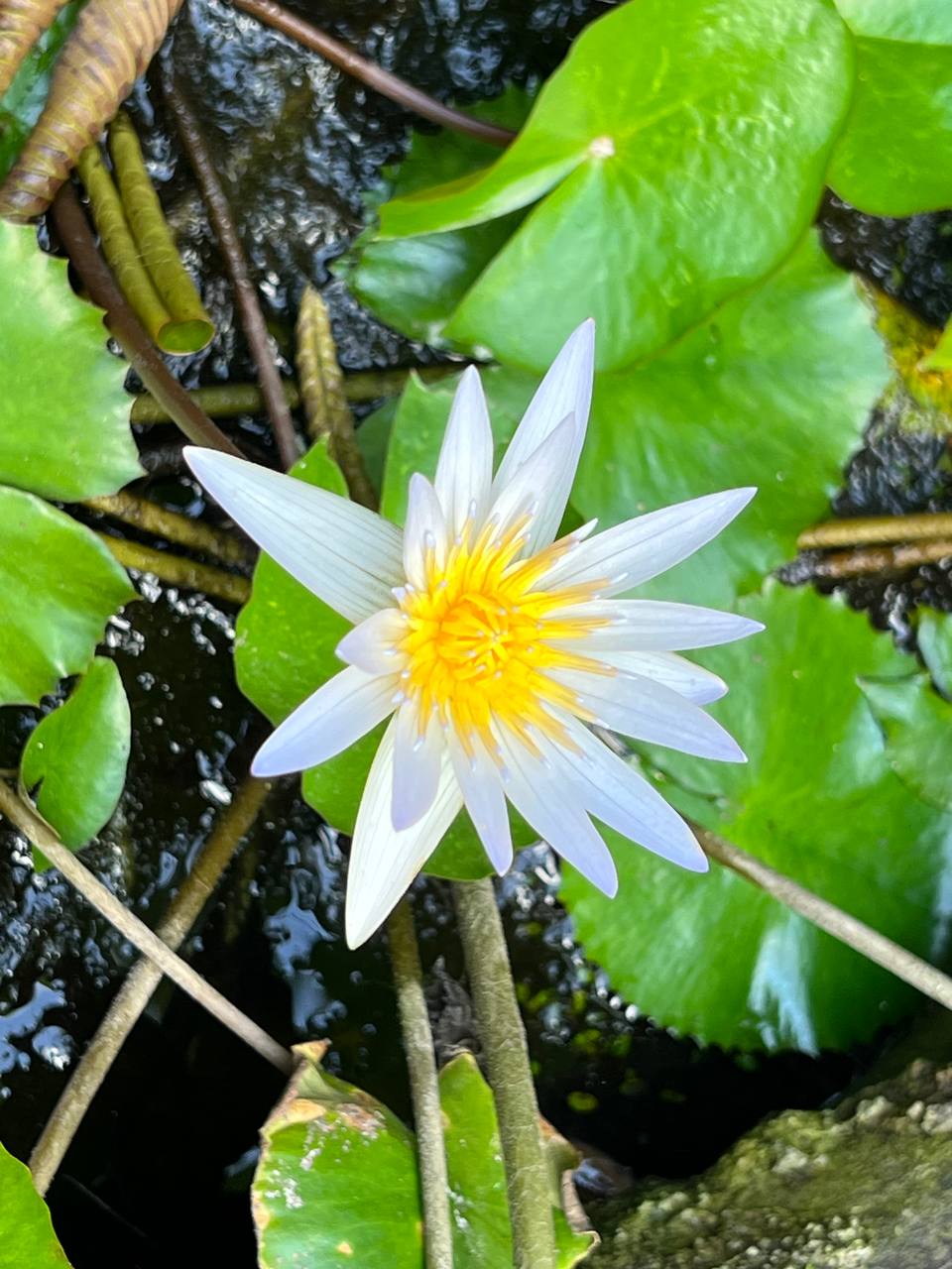 photo 3 2023-09-26 12-42-42