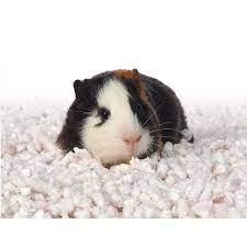 6bed9339-79b3-4d70-bc5a-8bd4ac3044ed