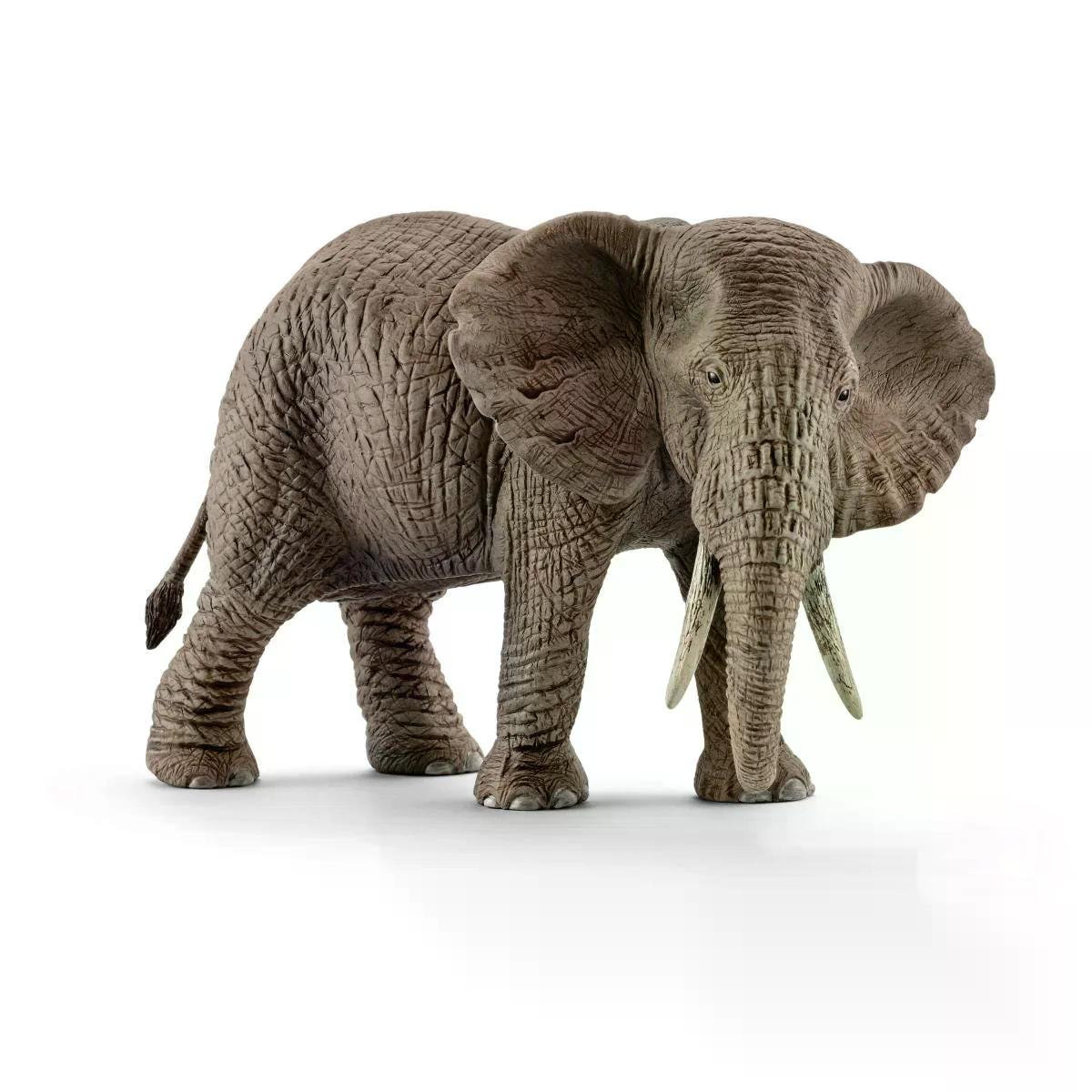 14761 main v16 TP 5a3fc9a5-9caf-4549-a23a-32f9523ac0f1