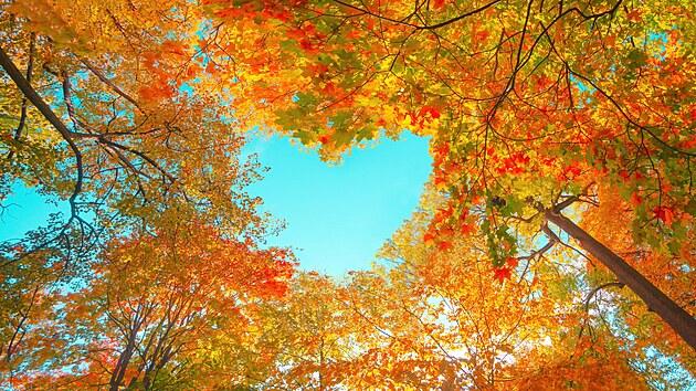 SHL95cc76 shutterstock 1816260440