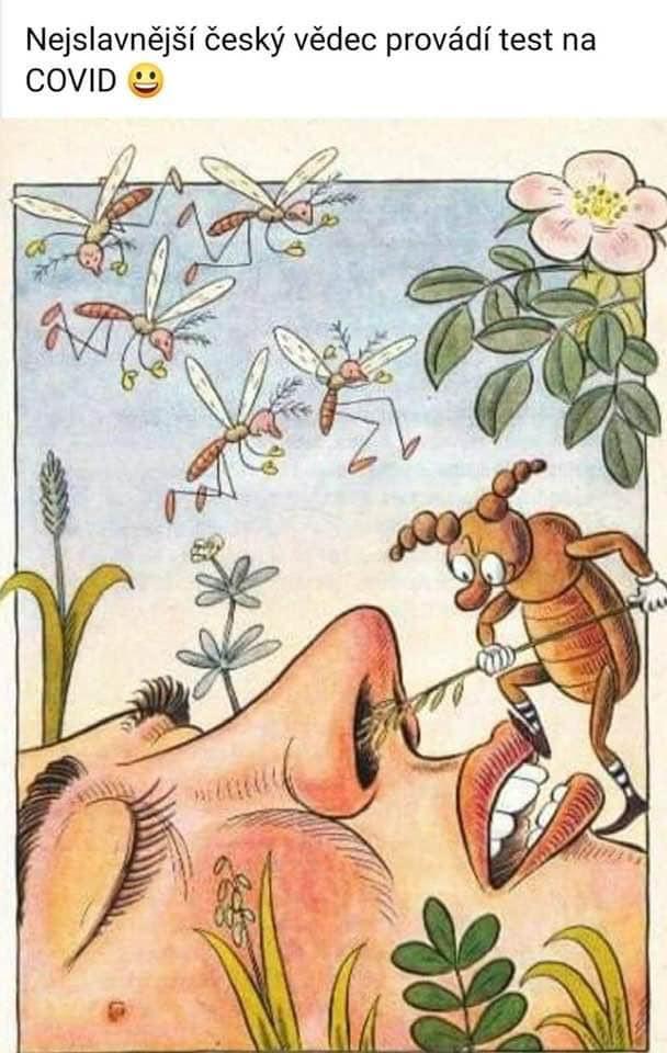 151526174 3626334607463482 9203627958599069036 n