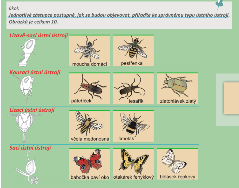 152414857 443343903643888 2136817432525800244 n