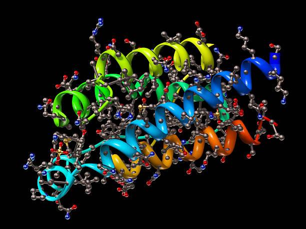 istockphoto-157610299-612x612