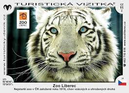 6d4e98cc-aa23-4661-8383-645f126caf73