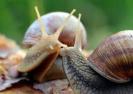 6dbf1a1d-a796-4281-b6ed-6b8db82a4954