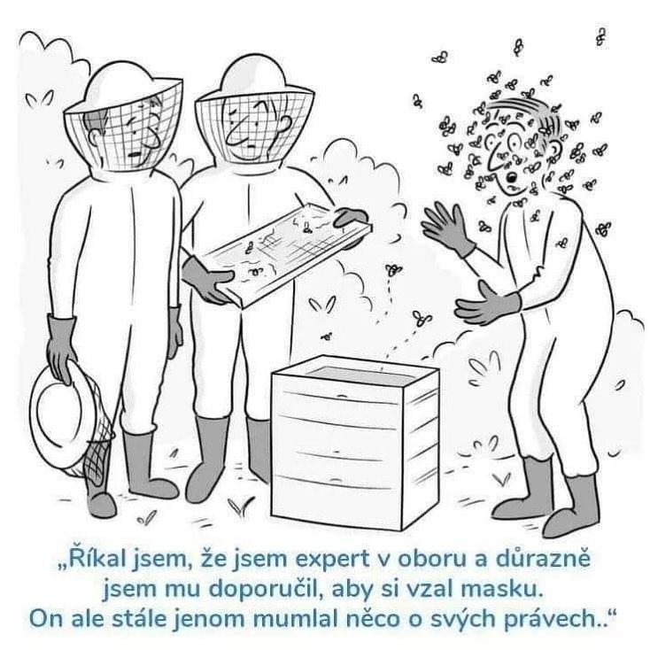 119200605 250466186488842 5884761568539571046 n