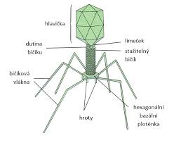 6e32dba5-20c9-4c75-a5cc-a523de2bbd31