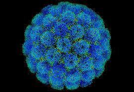 6e431562-0f93-400f-bfa3-49edcdc32ed1