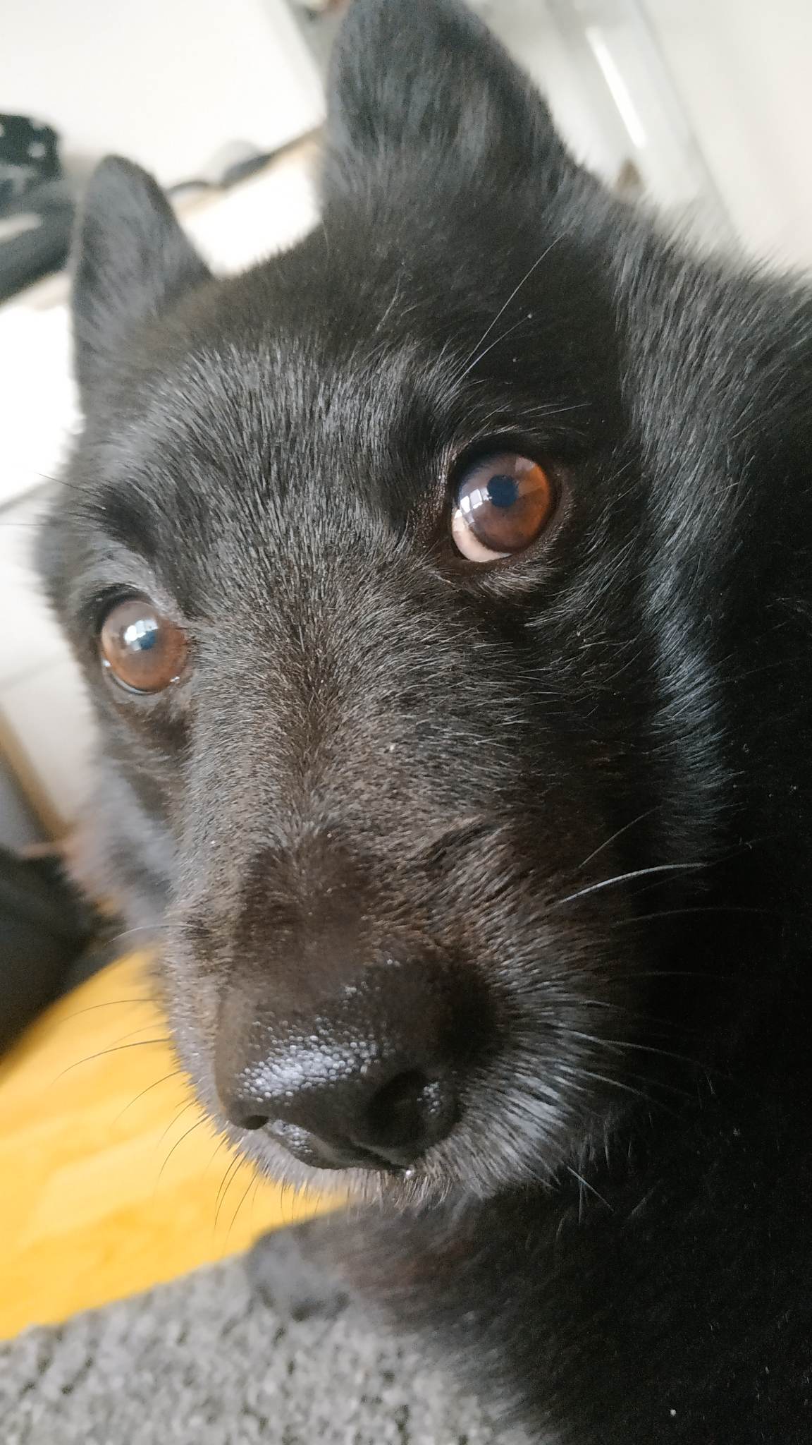 359946872 653770726810717 2789028853483360931 n