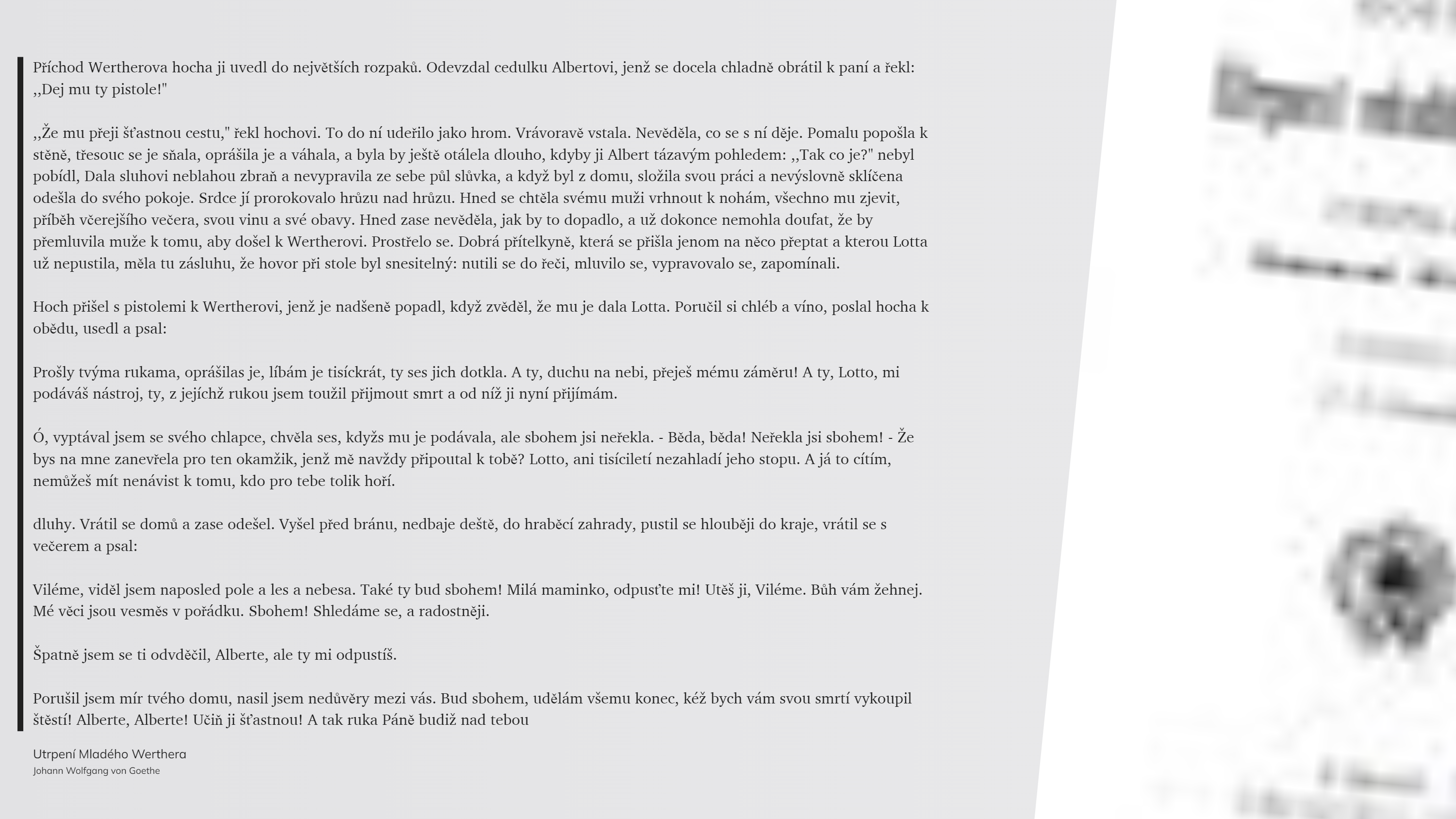 Utrpení Mladého Werthera (54)