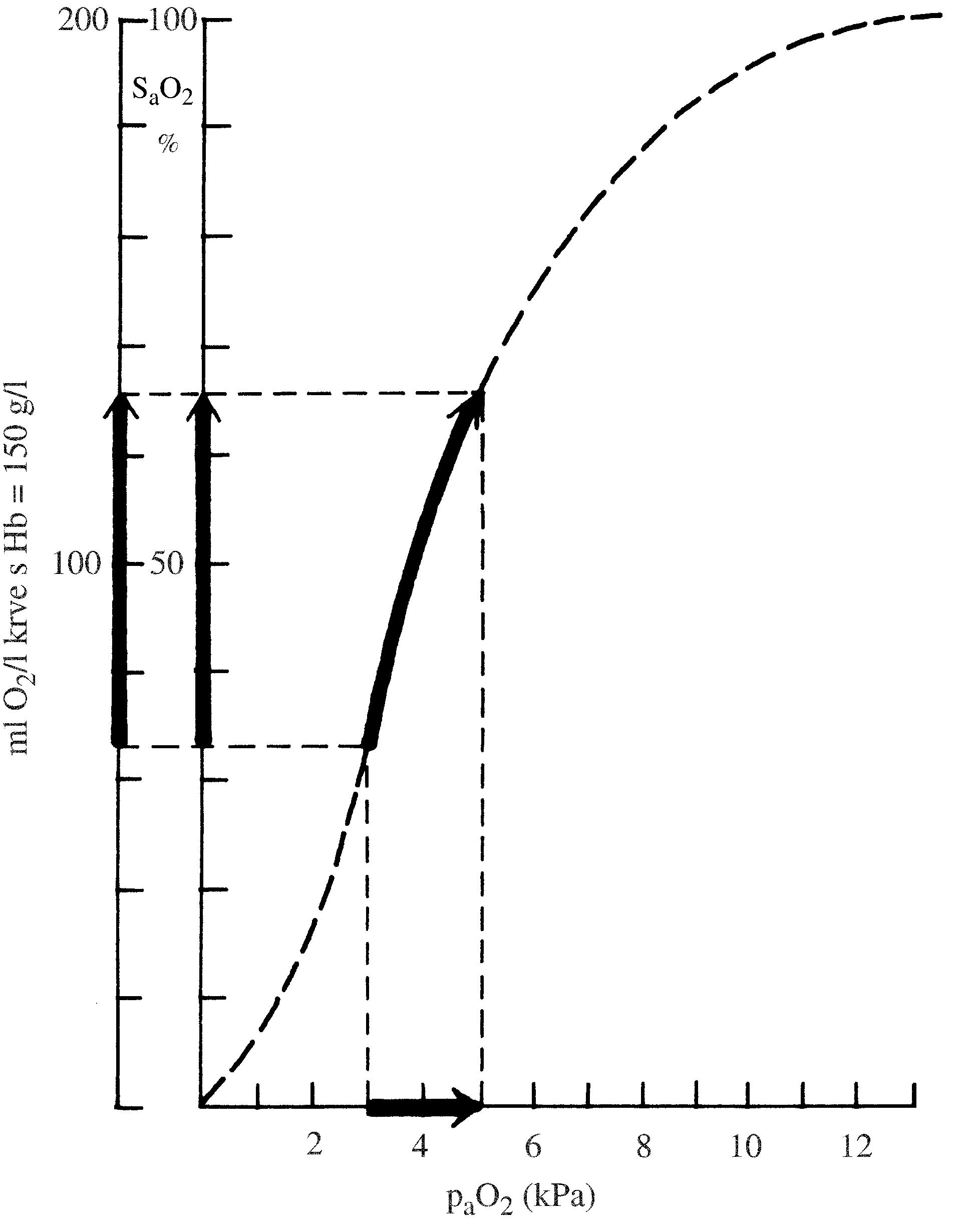 2021 Patologicka fyzio 1 Page 286 Image 0001