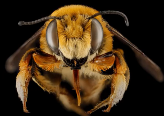 CJxWDZ eBE-I5R6s3IvWqW