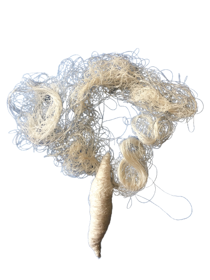 IMG 4161-removebg-preview