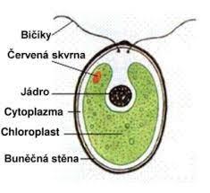 6fa8a728-82c2-4d50-81ce-0d244cc32bf7