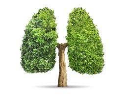 708eb740-b7f5-43db-a220-4b3a2847f6bf