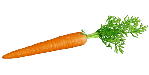 carrots