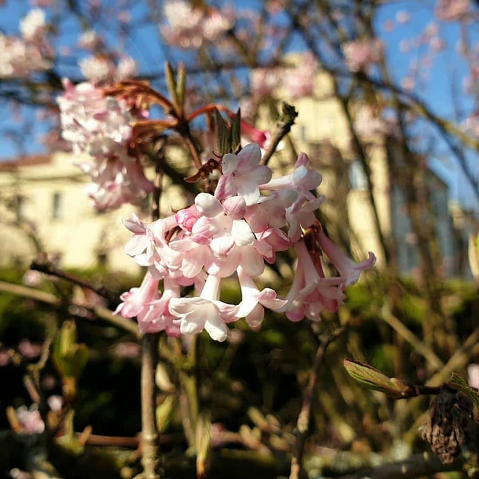 56189986 2046274505490386 2607398959487909888 n