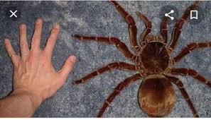 711de939-356c-4fb7-9140-723067534b29