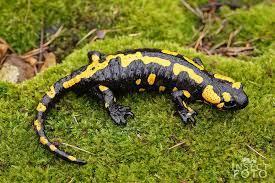 71338d60-0d8a-433d-90fe-1e480310425f