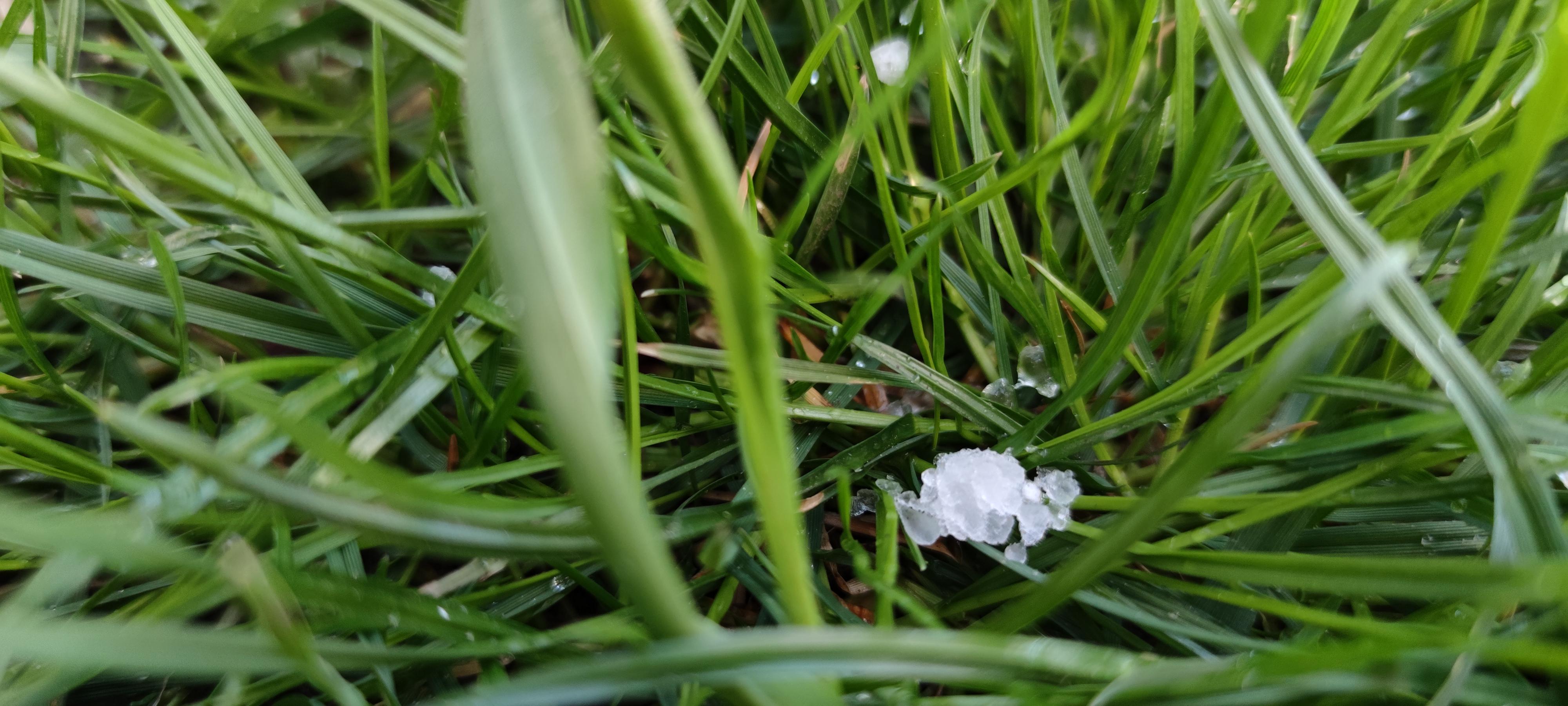 16178096302013961124962246011923