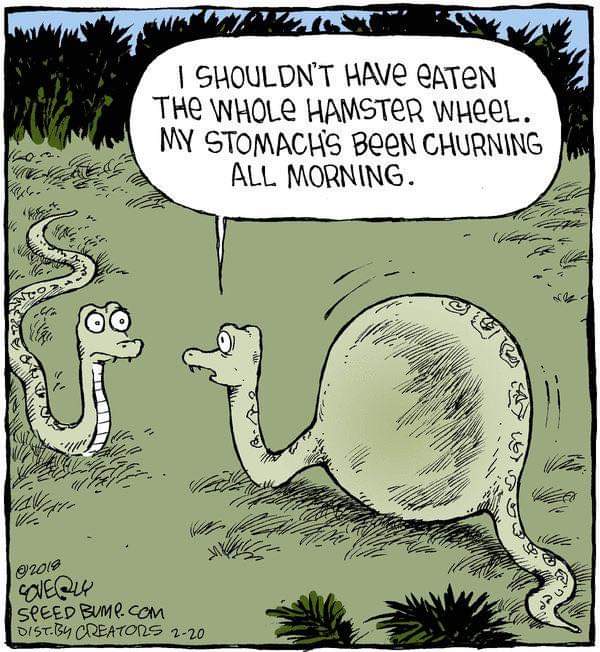 FB IMG 1675835869447