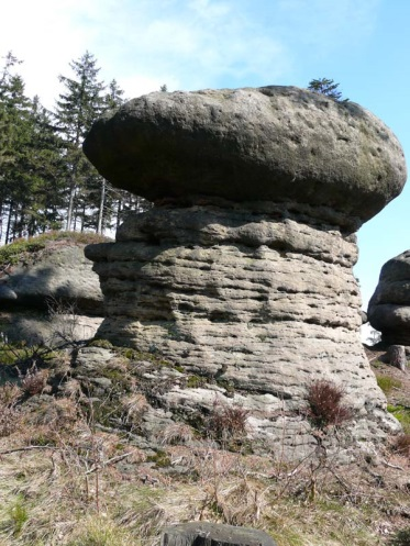 AlNuS7JhZGDbGhxwm RMPE