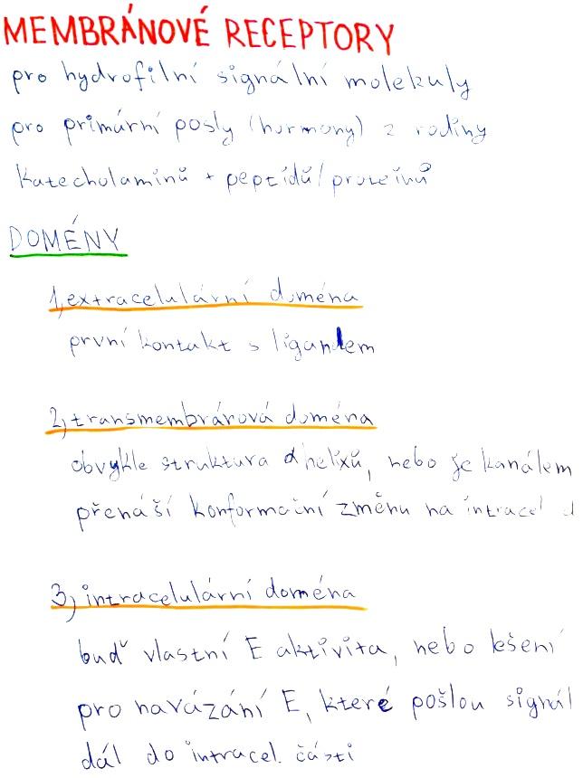 Membránové receptory