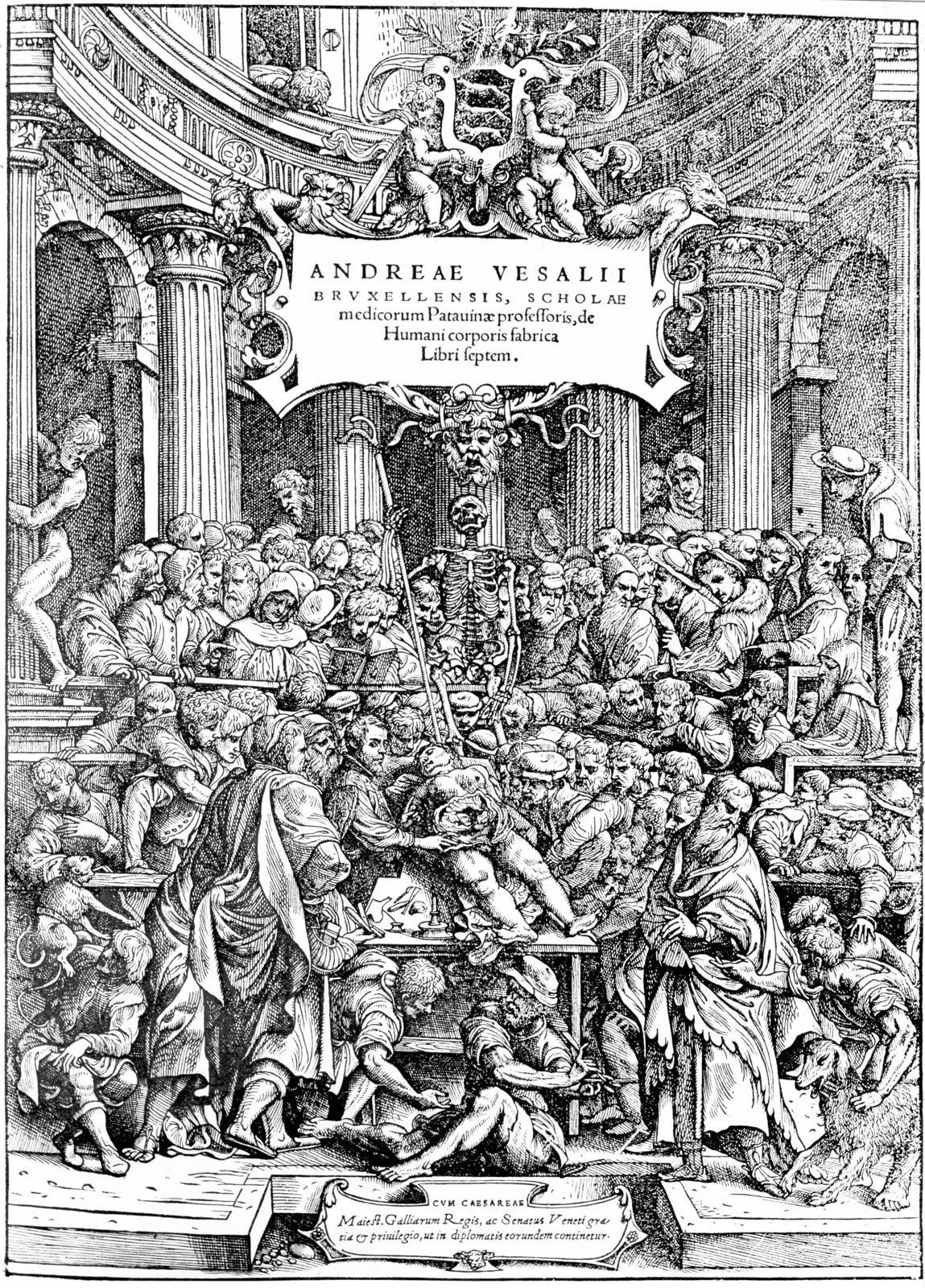 Andreas-Vesalius-Woodcut-Renaissance-title-page-anatomy