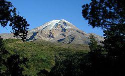 250px-Pico Orizaba Pines