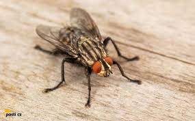 b494a718-11c4-4086-b73c-1e0e1ae151bd