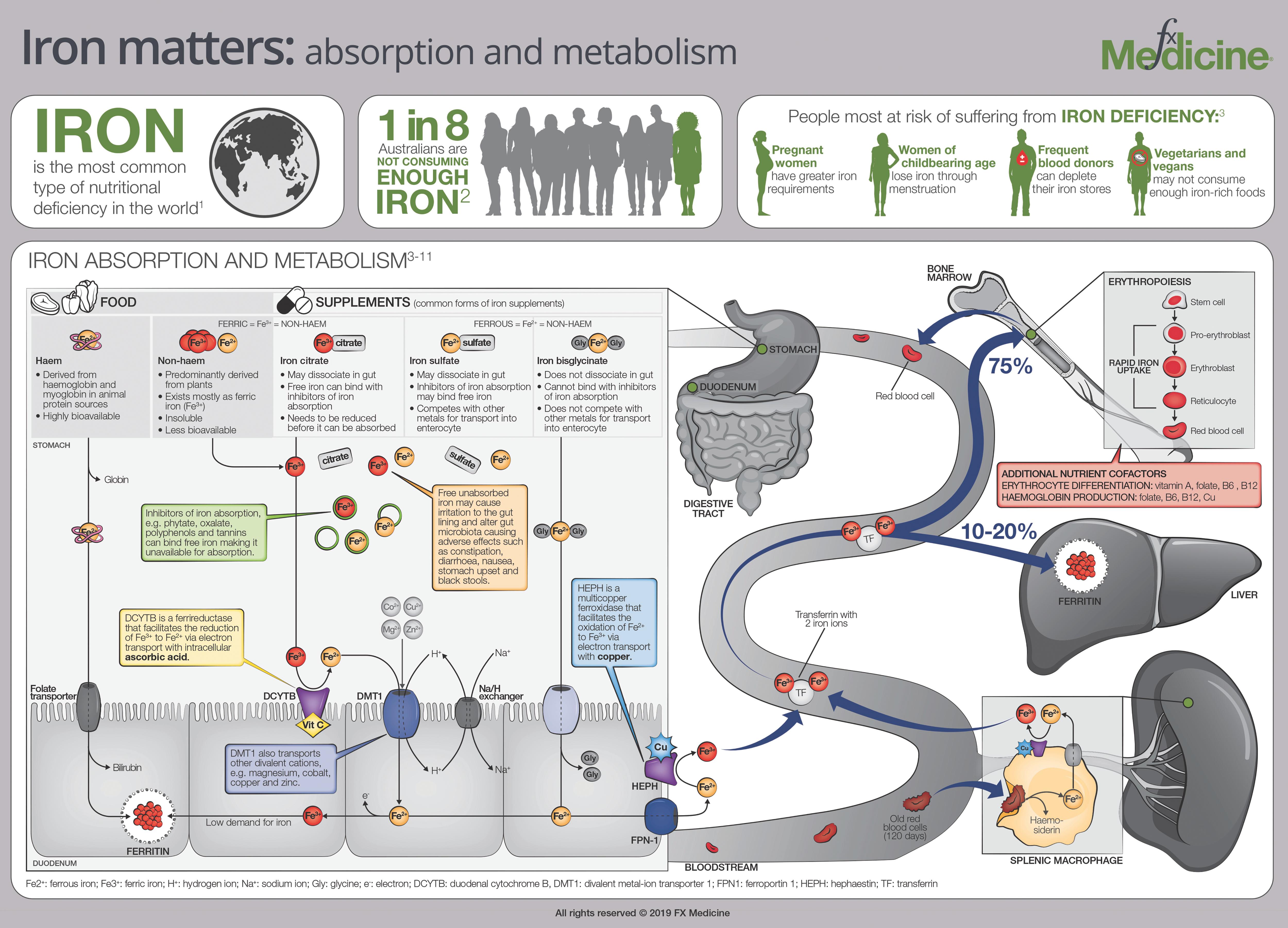 Iron Matters FX-INFO HR