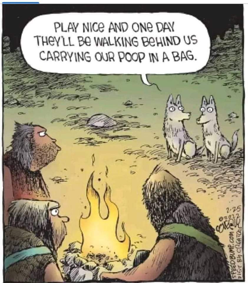 FB IMG 1674077270322