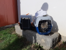 30x10x2022 - transport box