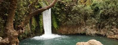 shmurat-abanias-shlomi-aharon-3-e1512573151452