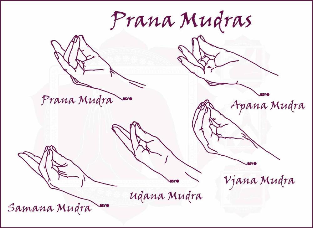 40e978c7-676f-4a13-82d5-b064237f69d5