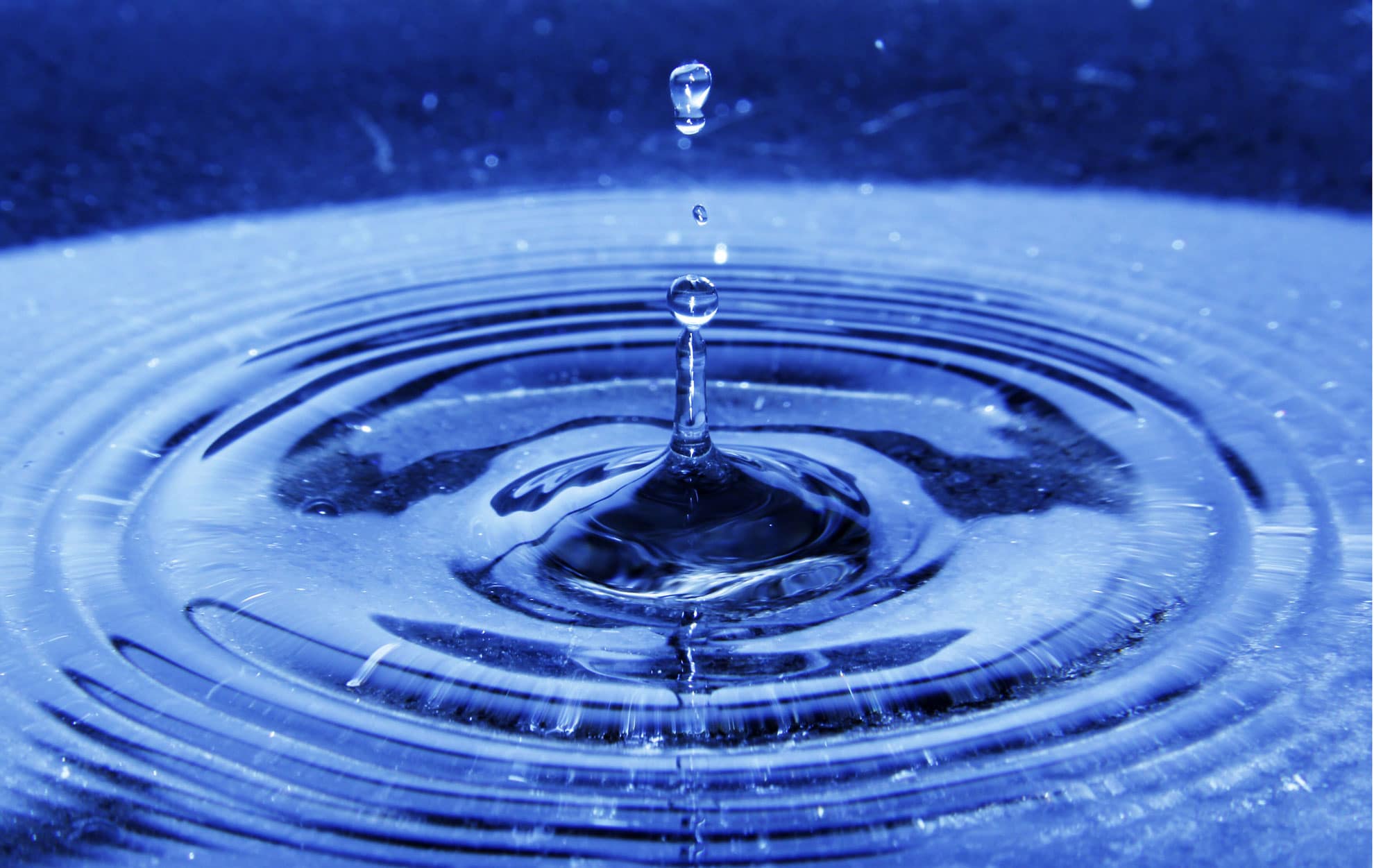 twenty20 ddccbd6c-7b3d-4828-b62f-09ec4ca7258c