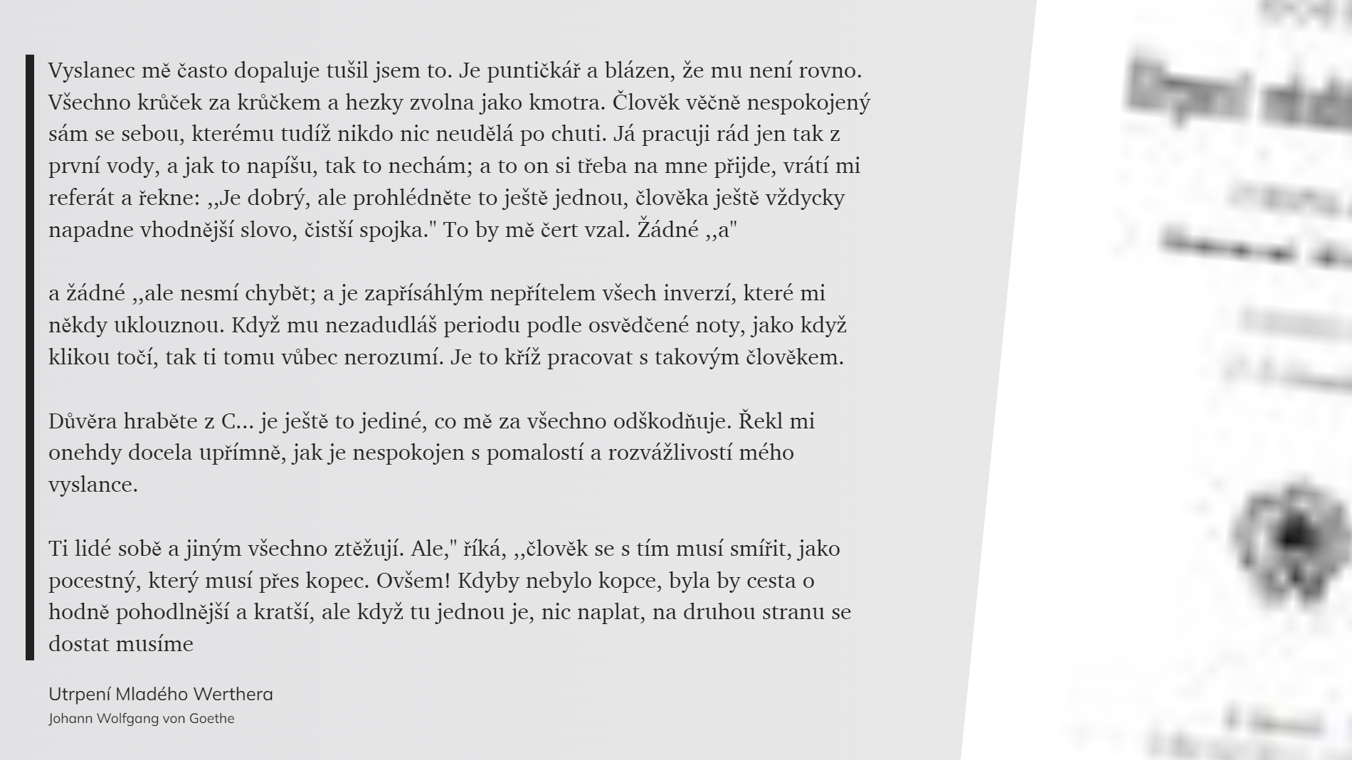 Utrpení Mladého Werthera (31)