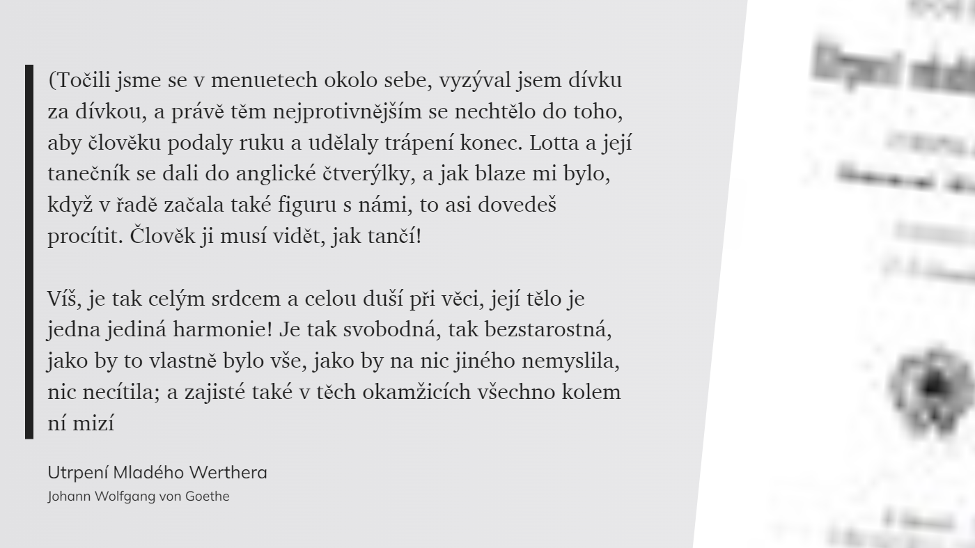 Utrpení Mladého Werthera (8)