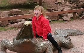 b7d47ee1-cafd-49a6-89a7-46954377bc4e