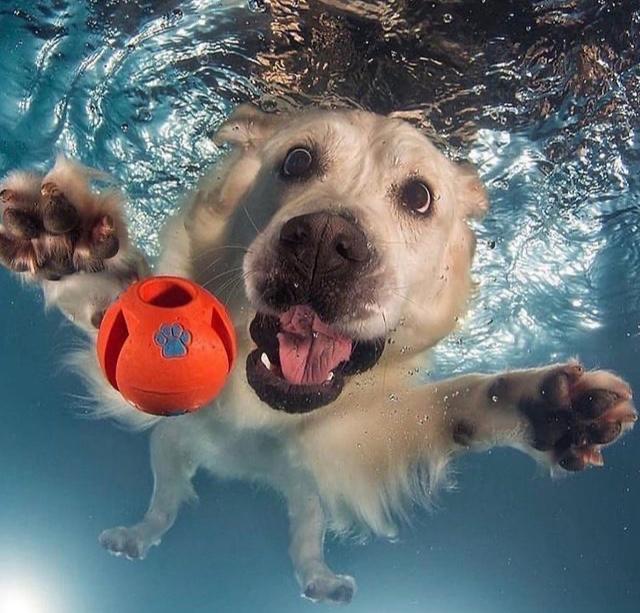 E9042C96-BE73-4B05-8E87-2F50688D7EA8