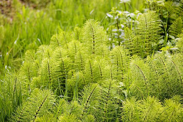 istockphoto-466445606-612x612