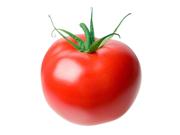 330eb1200e8cfd0-removebg-preview