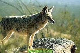 b7fe178f-6236-4927-9c10-e13aa5f6576f