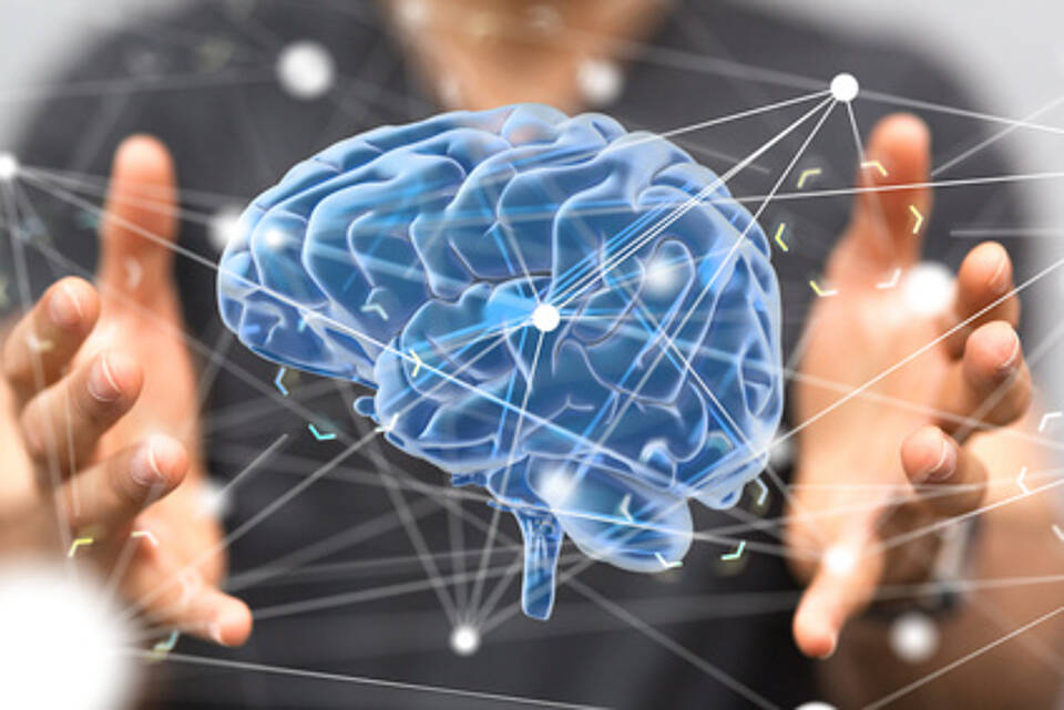 csm Schizophrenie e411173dd8