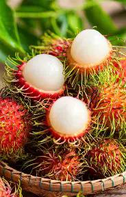 b9c84906-6ce1-41b0-a807-ad295459530c